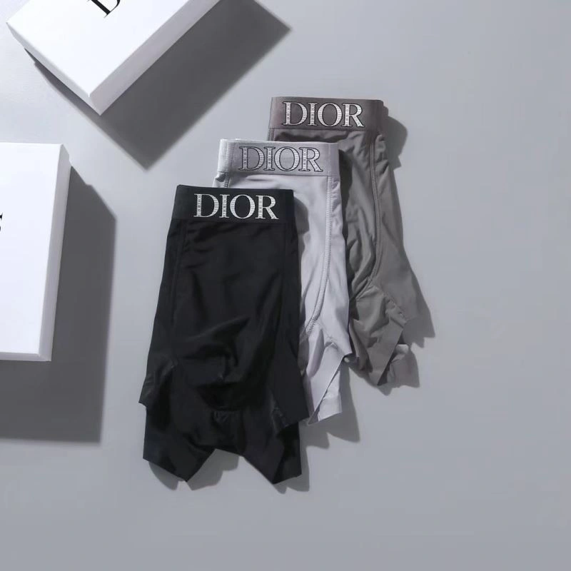 Christian Dior Underwear WrinkleFree 276824