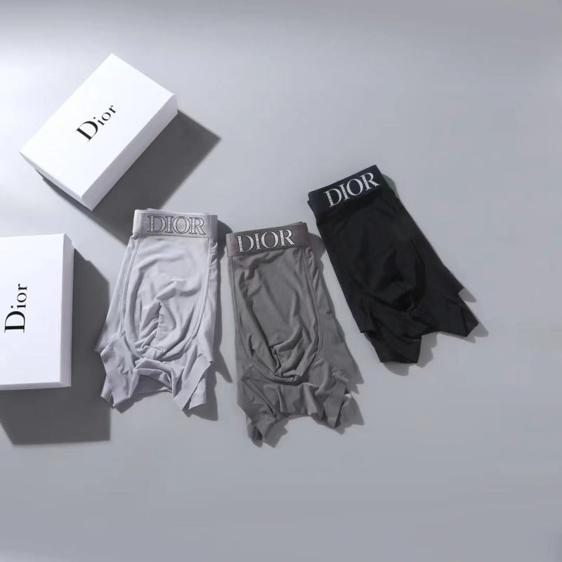 Christian Dior Underwear WrinkleFree 276824