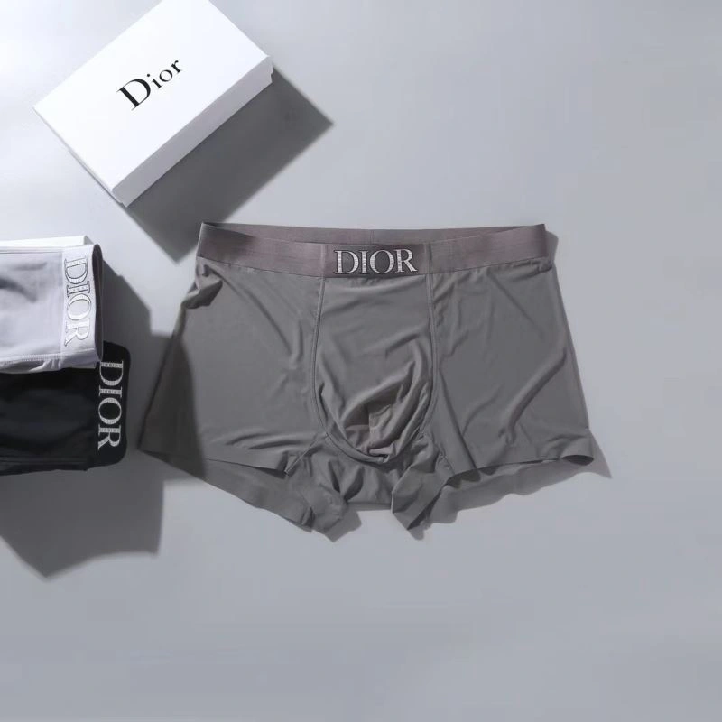 Christian Dior Underwear WrinkleFree 276824