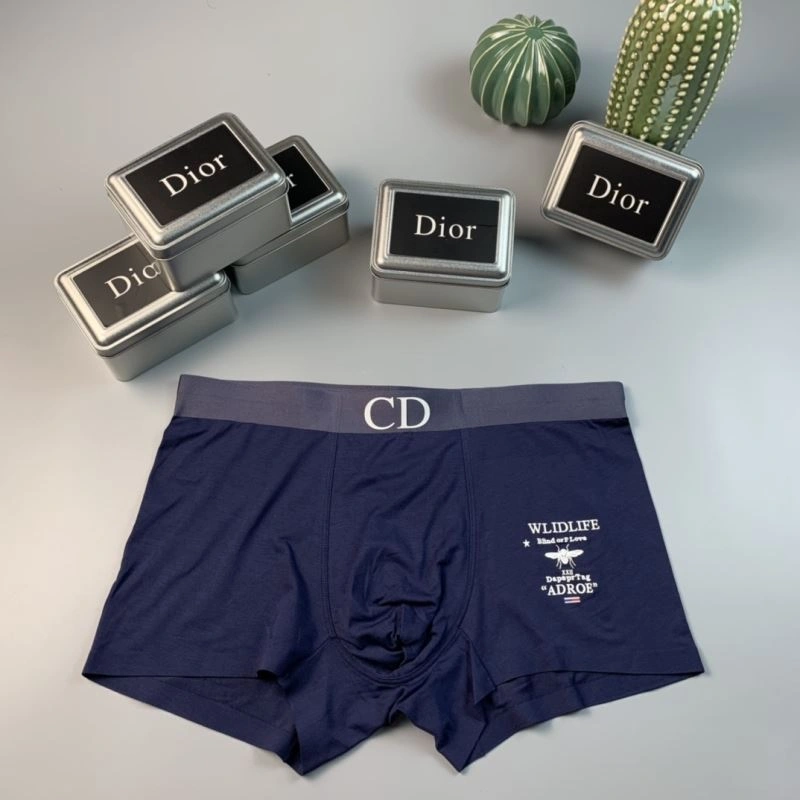 HighPerformance Christian Dior Underwear 276816