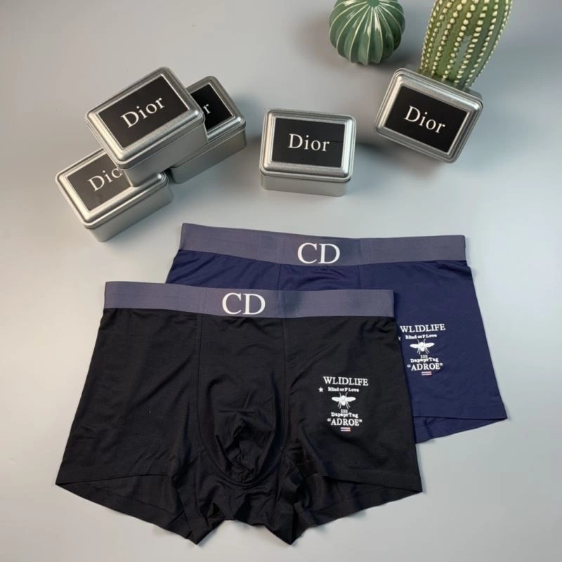 HighPerformance Christian Dior Underwear 276816