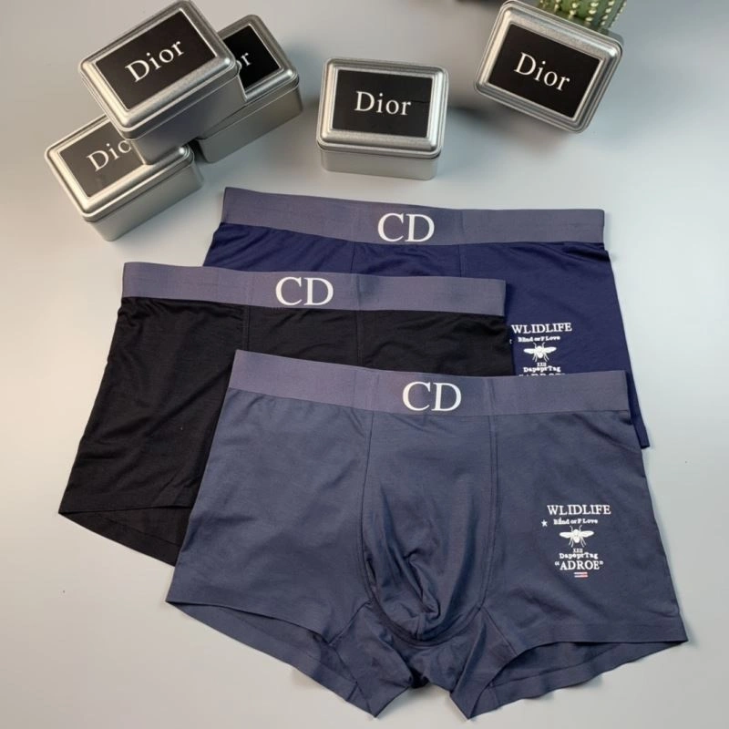 HighPerformance Christian Dior Underwear 276816