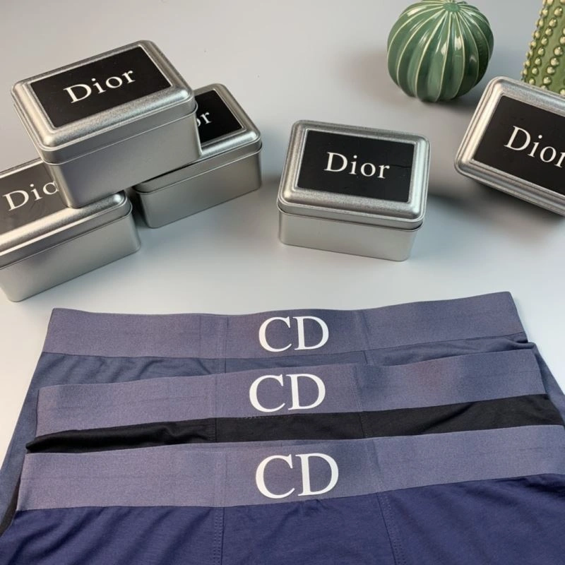 HighPerformance Christian Dior Underwear 276816