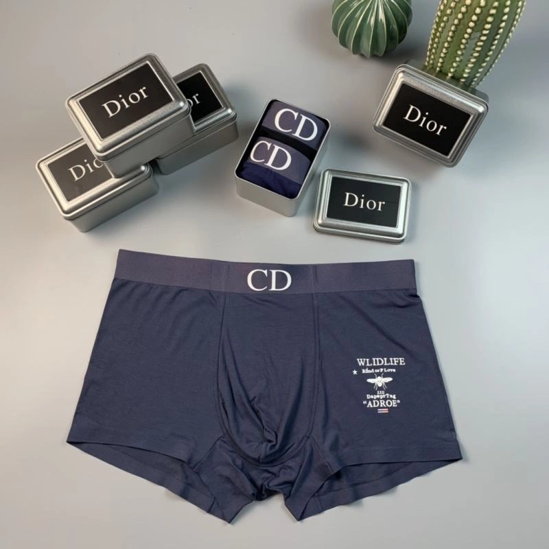 HighPerformance Christian Dior Underwear 276816