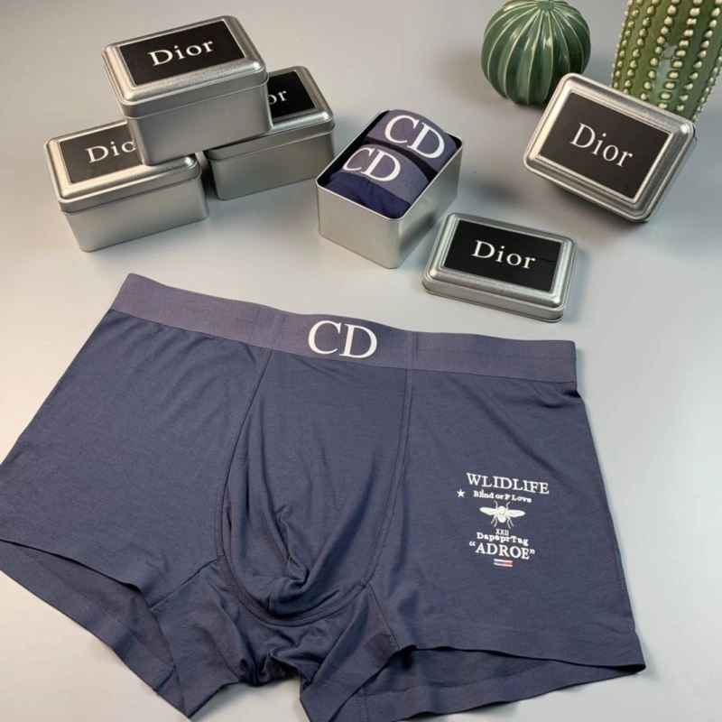 HighPerformance Christian Dior Underwear 276816