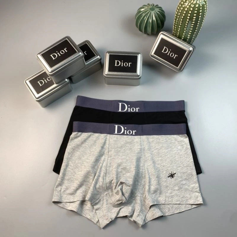 Christian Dior Underwear Fashionable 276812