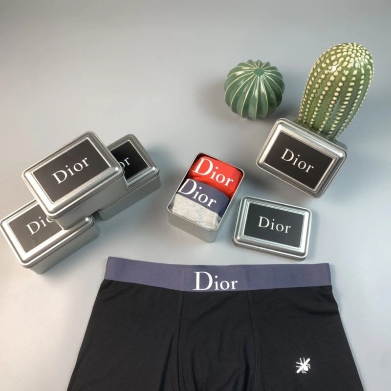 Christian Dior Underwear Fashionable 276812