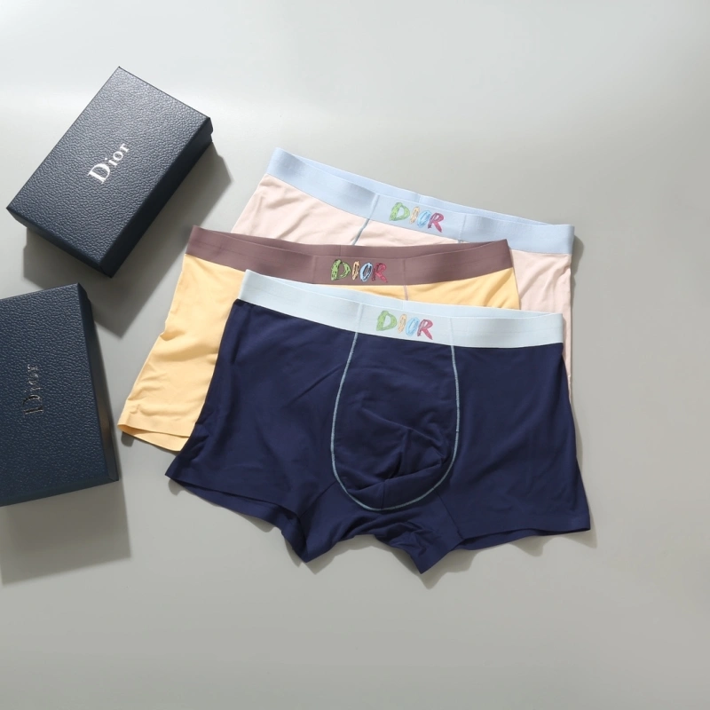 Resilient Christian Dior Underwear 276690