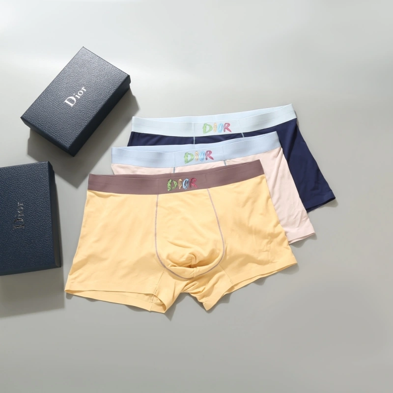 Resilient Christian Dior Underwear 276690