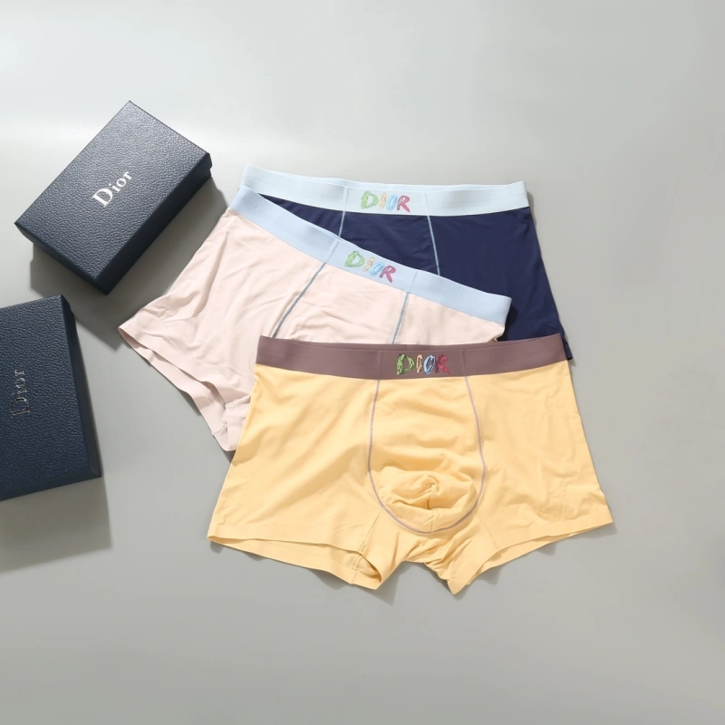 Resilient Christian Dior Underwear 276690