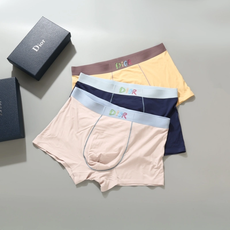 Resilient Christian Dior Underwear 276690