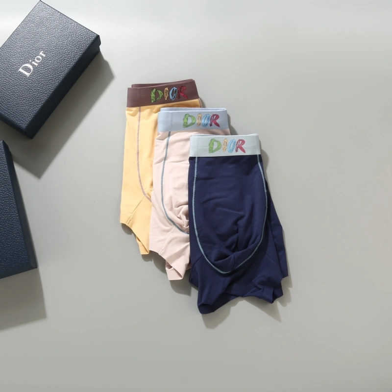 Resilient Christian Dior Underwear 276690