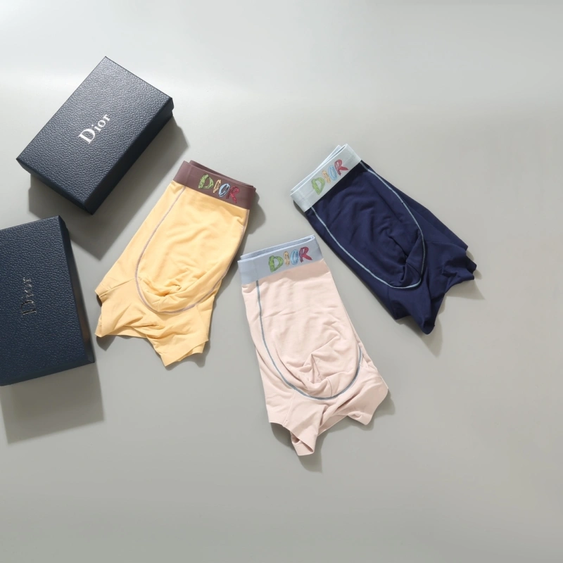 Resilient Christian Dior Underwear 276690