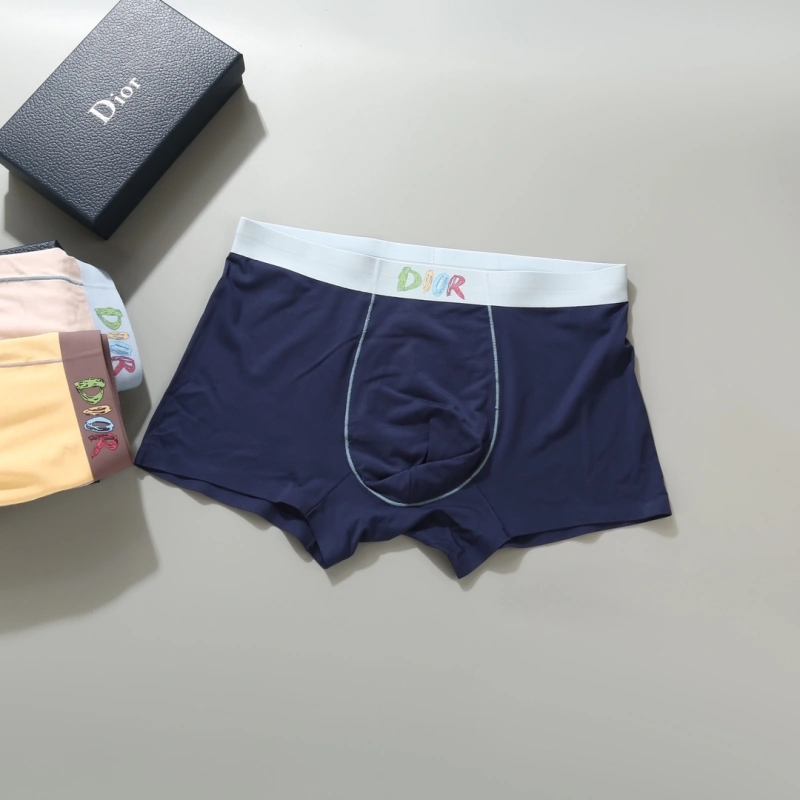 Resilient Christian Dior Underwear 276690