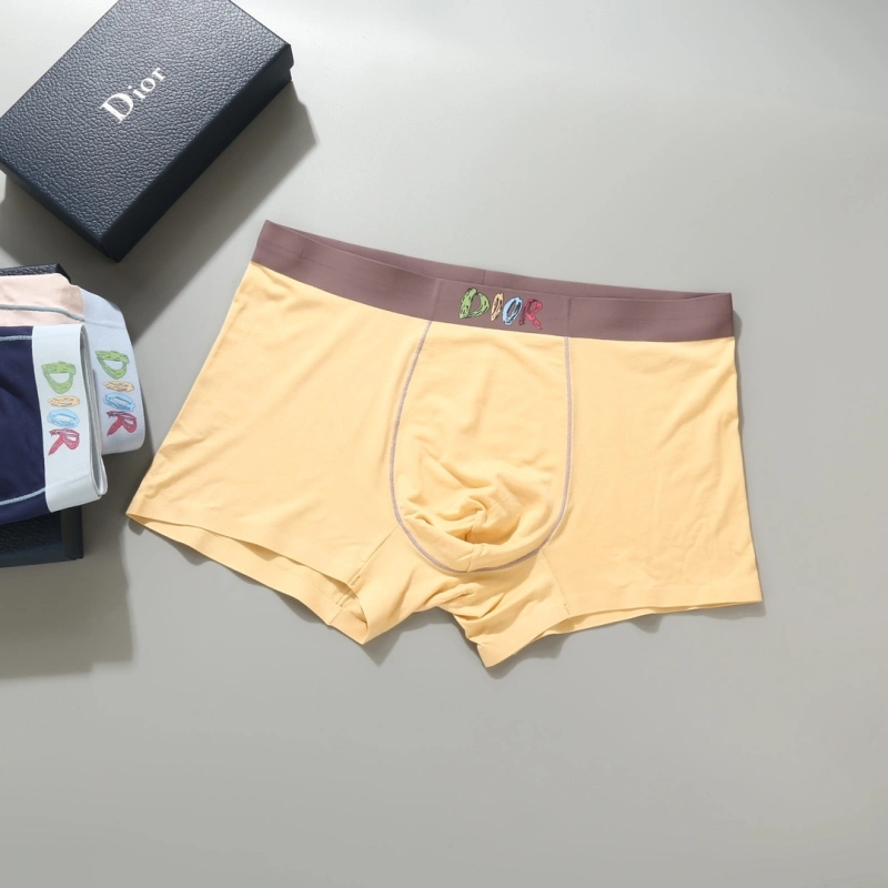 Resilient Christian Dior Underwear 276690