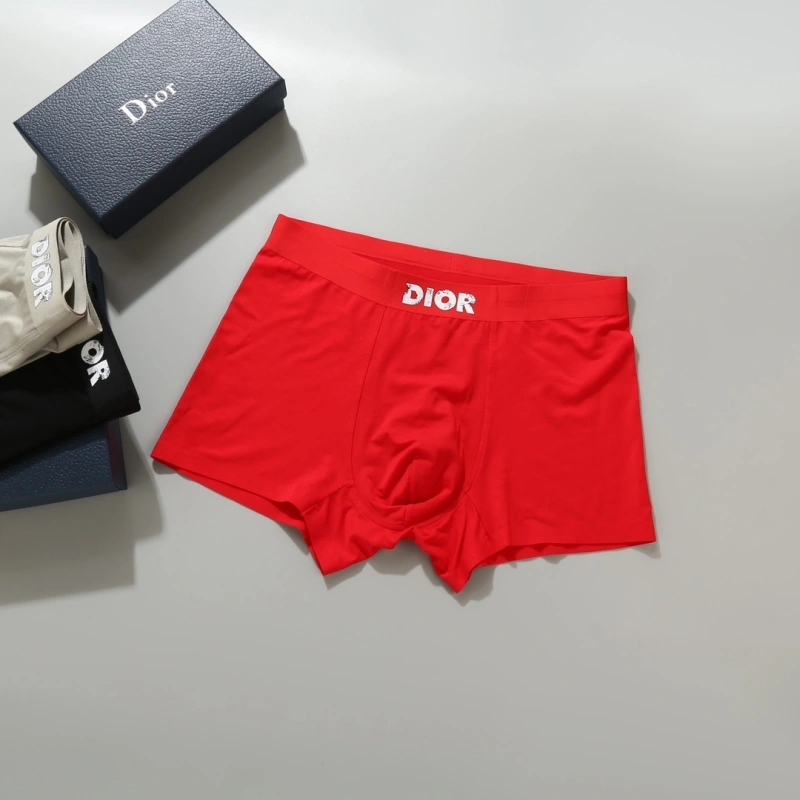 Christian Dior Underwear WeatherProof 276694