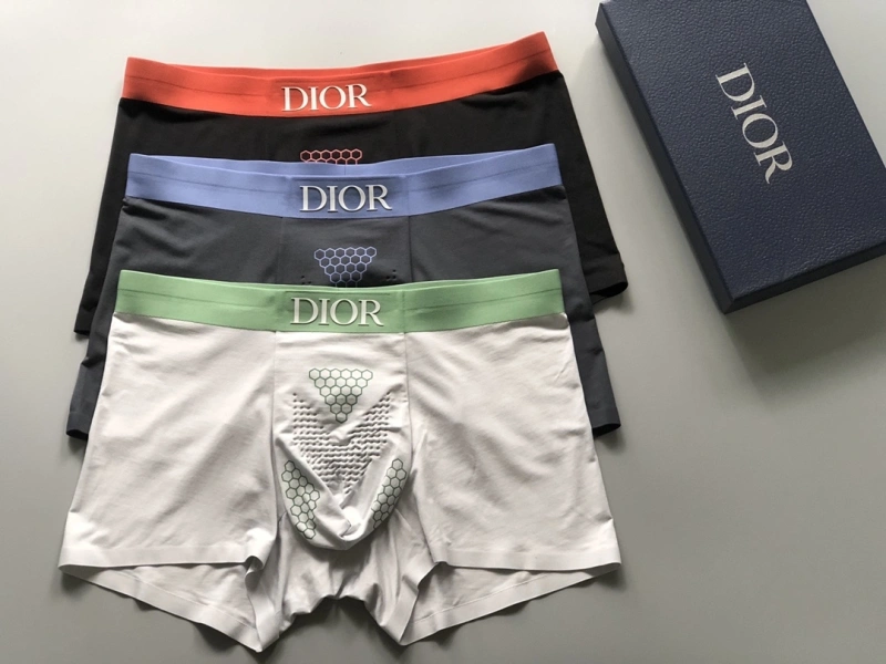 WellDesigned Christian Dior Underwear 276670