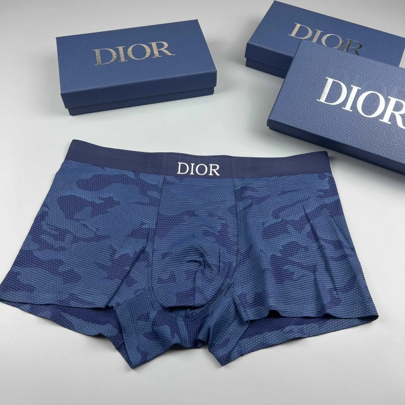 Christian Dior Underwear Trendsetting 276669