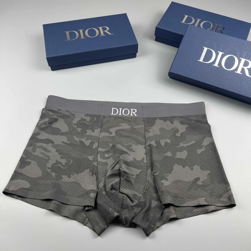 Christian Dior Underwear Trendsetting 276669