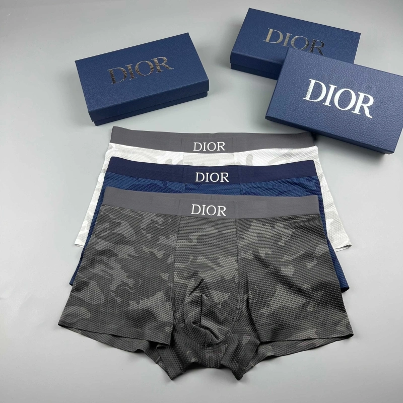 Christian Dior Underwear Trendsetting 276669