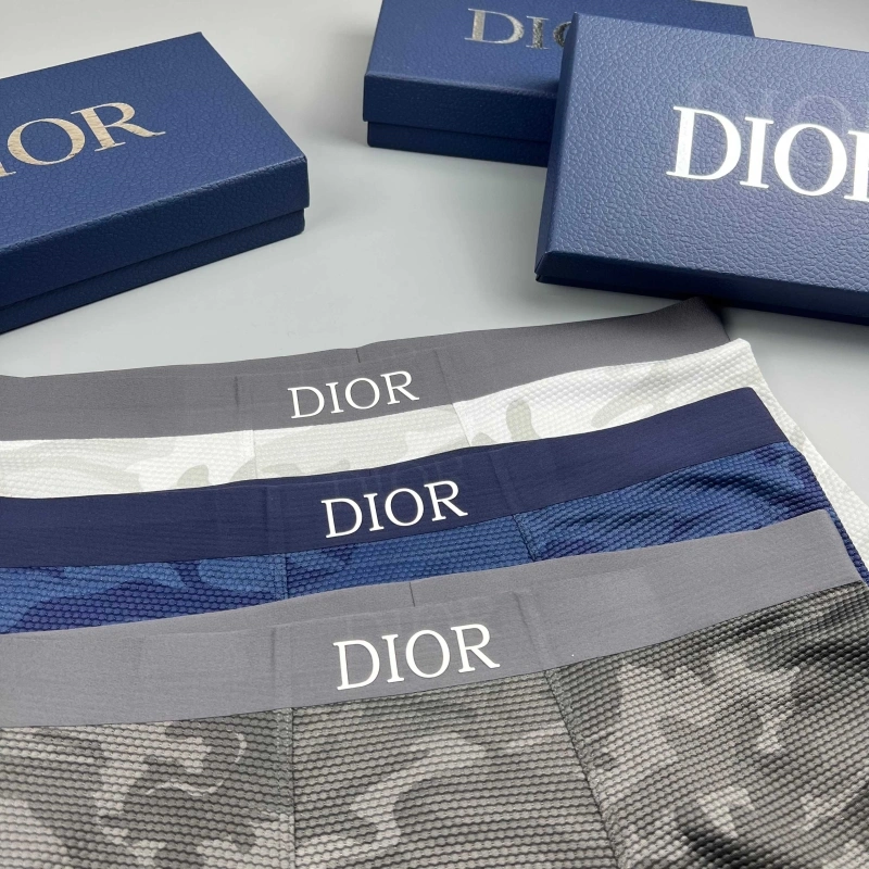 Christian Dior Underwear Trendsetting 276669