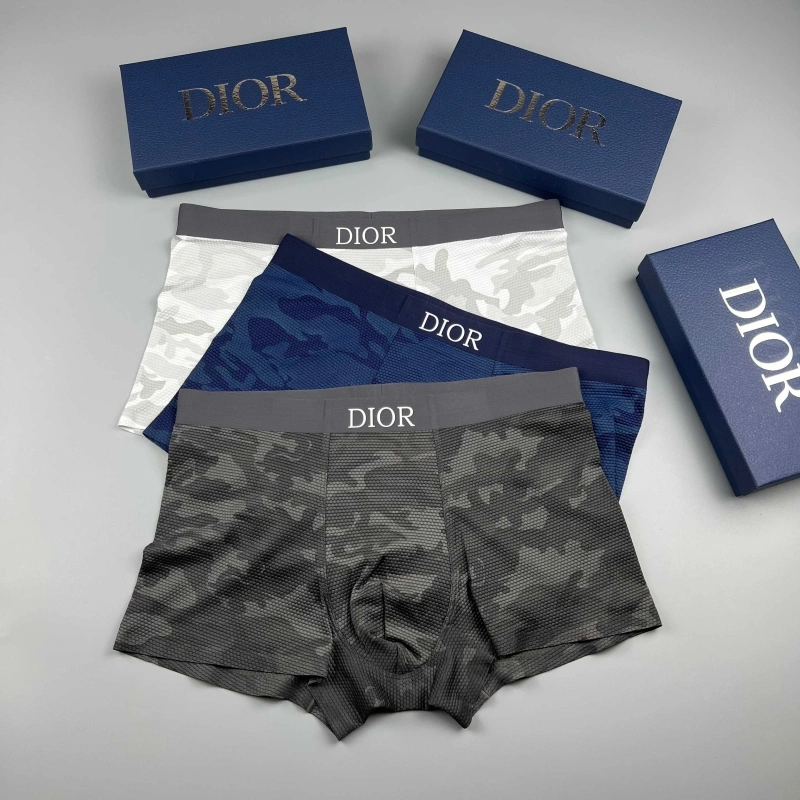 Christian Dior Underwear Trendsetting 276669