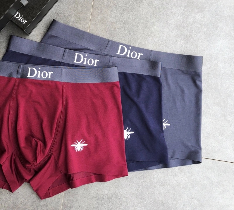 Contemporary Christian Dior Underwear 276478