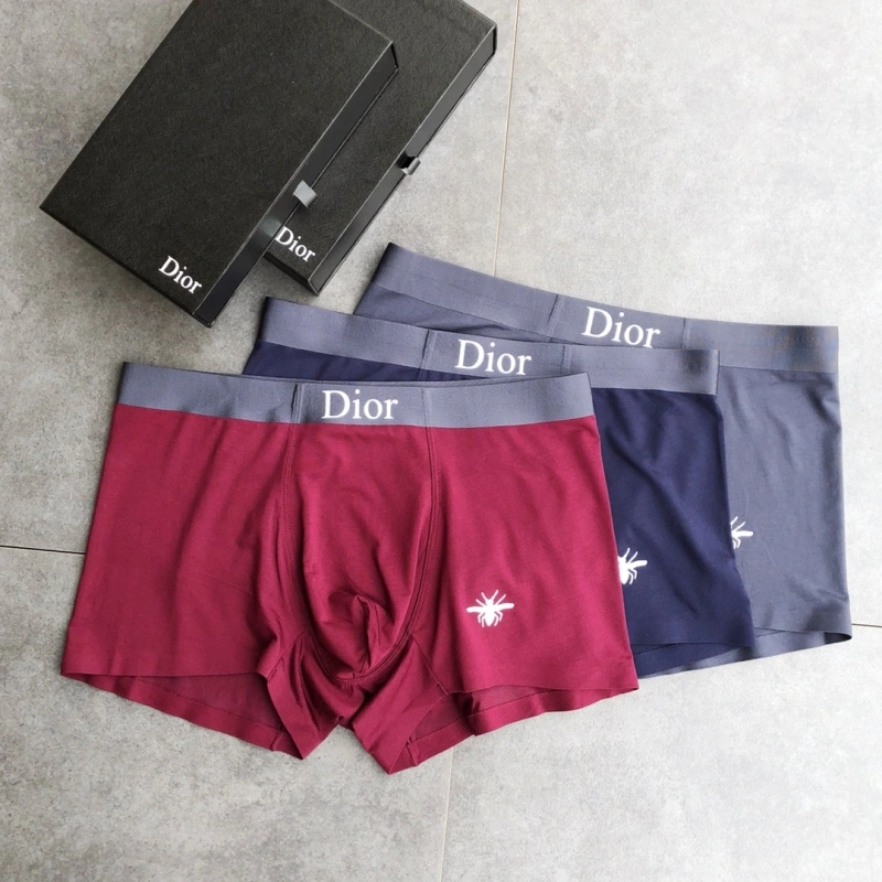 Contemporary Christian Dior Underwear 276478