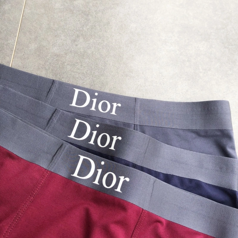 Contemporary Christian Dior Underwear 276478