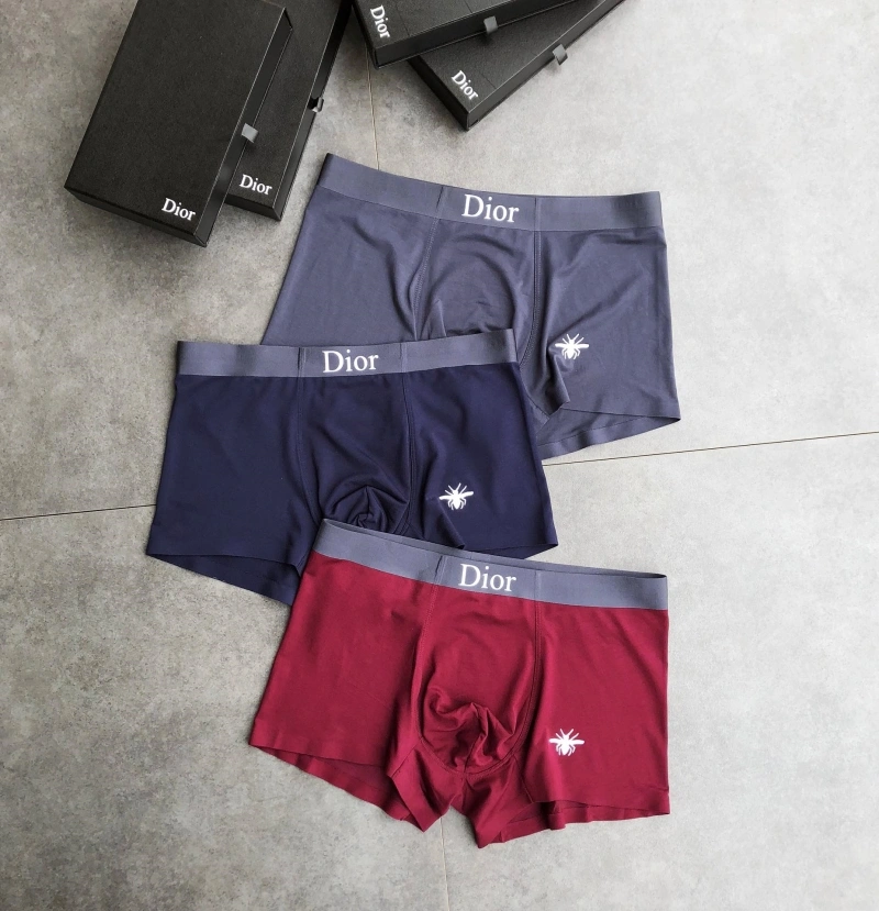 Contemporary Christian Dior Underwear 276478