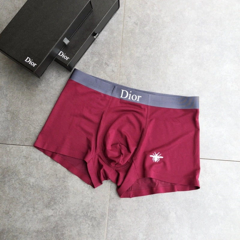 Contemporary Christian Dior Underwear 276478