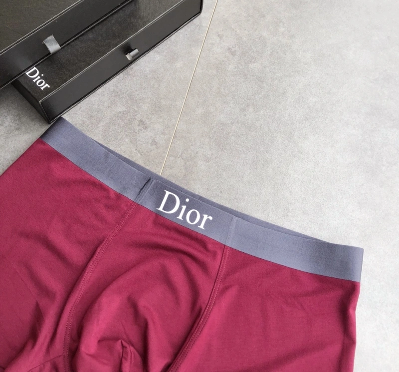 Contemporary Christian Dior Underwear 276478
