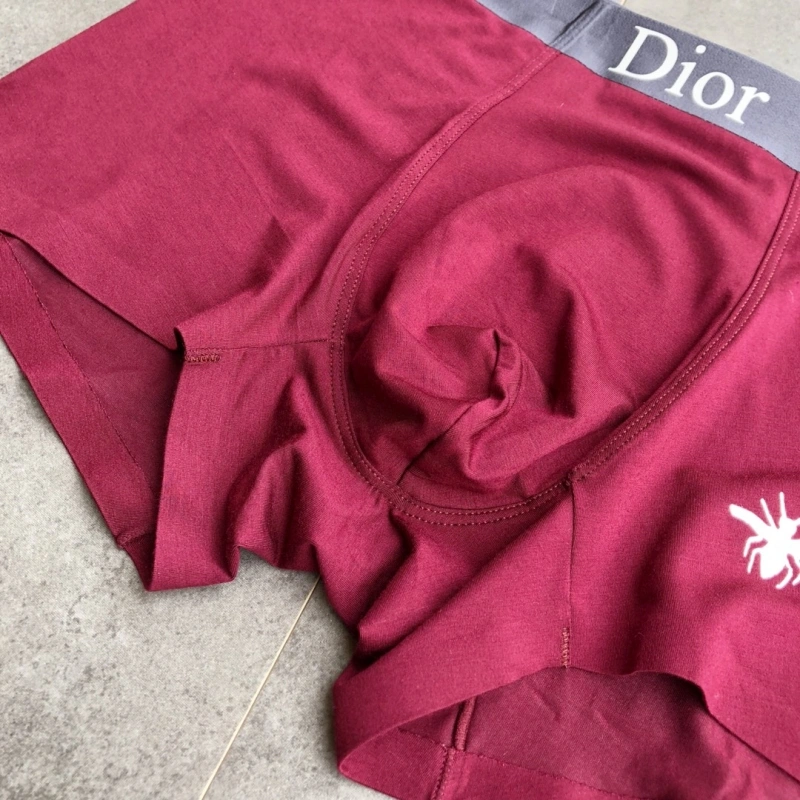 Contemporary Christian Dior Underwear 276478