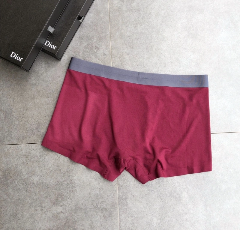Contemporary Christian Dior Underwear 276478