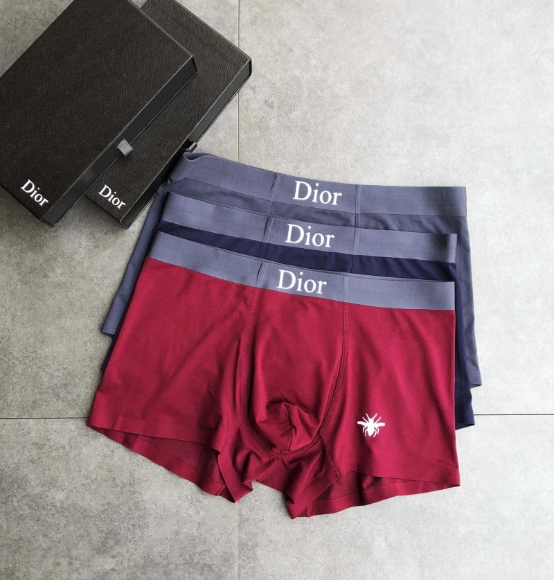 Contemporary Christian Dior Underwear 276478
