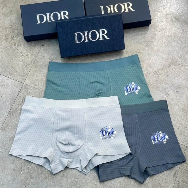 Christian Dior Underwear TopPick 276479