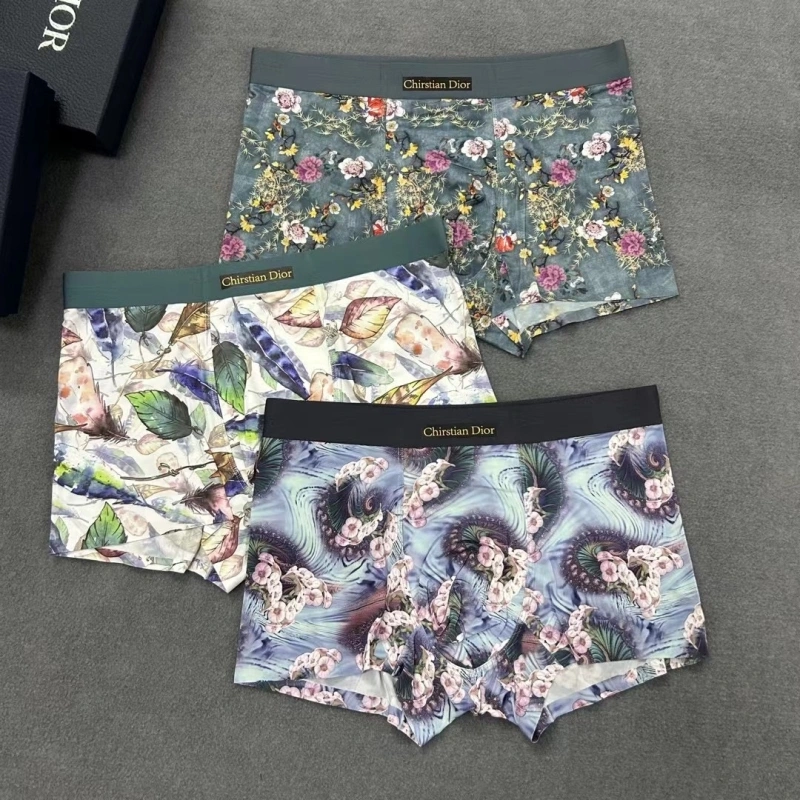 HighPerformance Christian Dior Underwear 276487