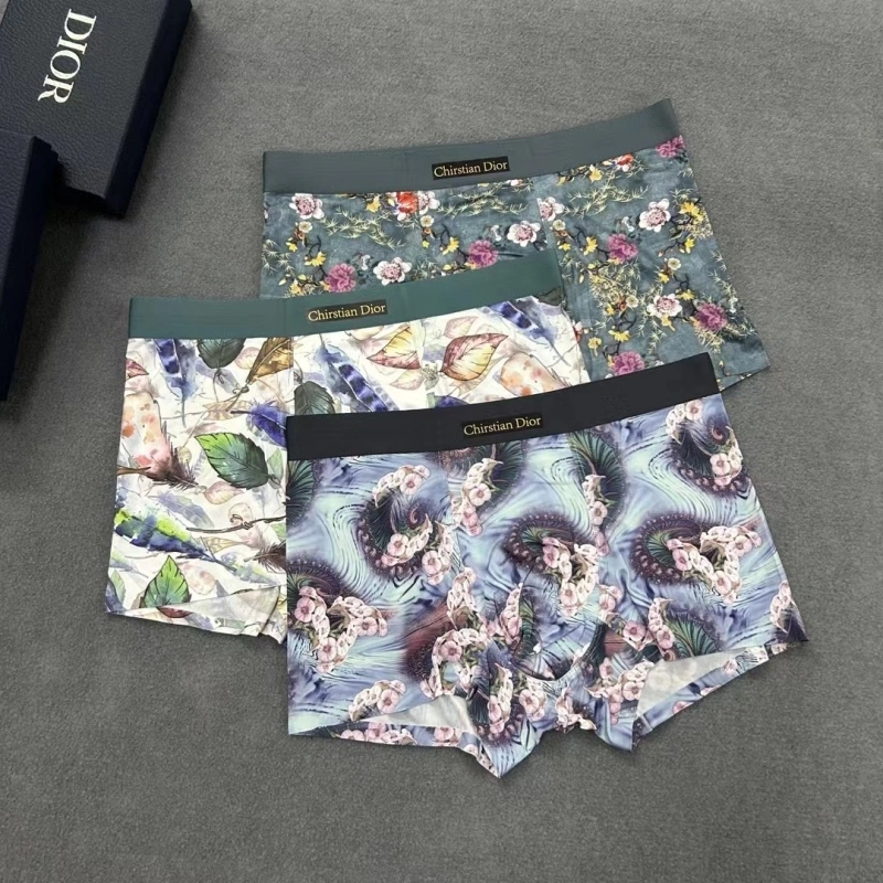HighPerformance Christian Dior Underwear 276487