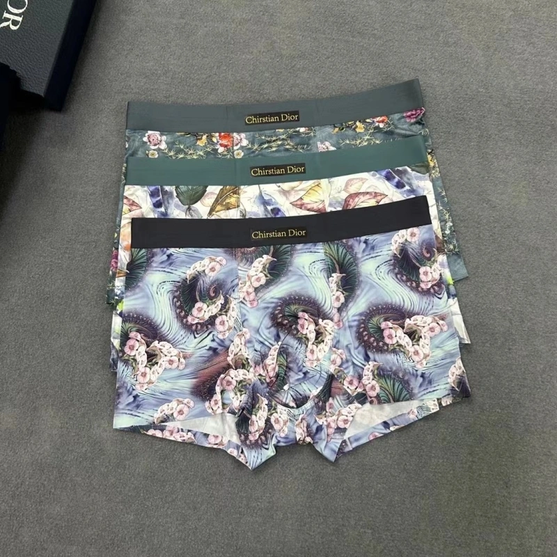 HighPerformance Christian Dior Underwear 276487