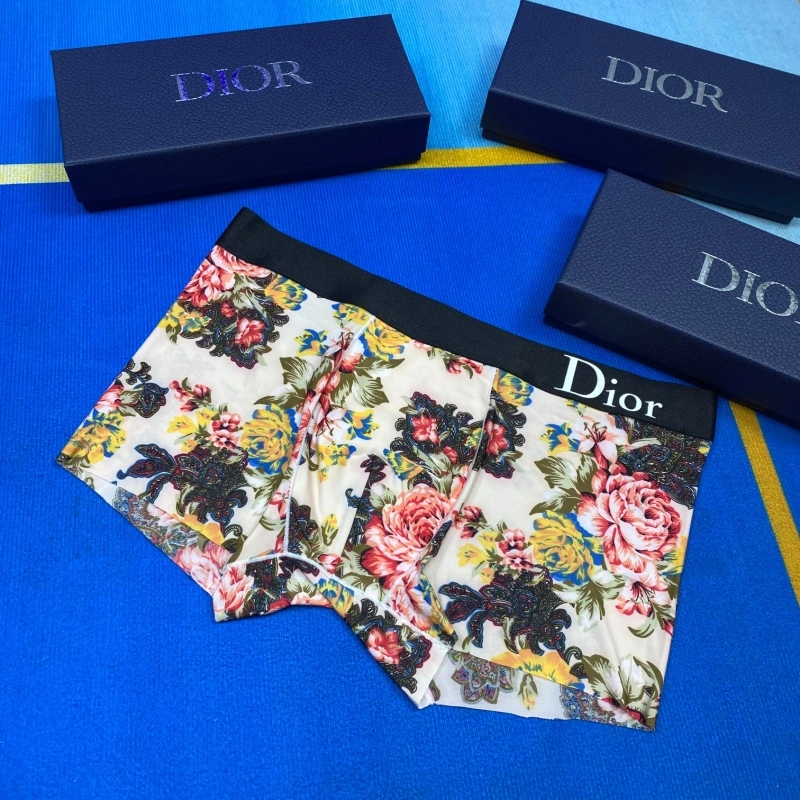 Christian Dior Underwear TravelReady 276485