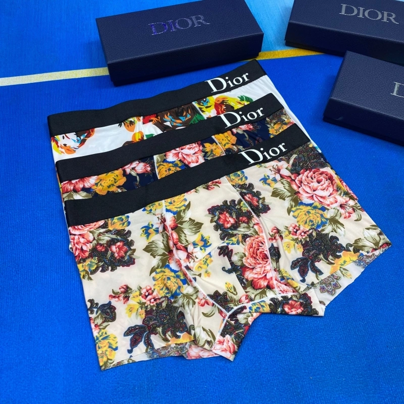 Christian Dior Underwear TravelReady 276485