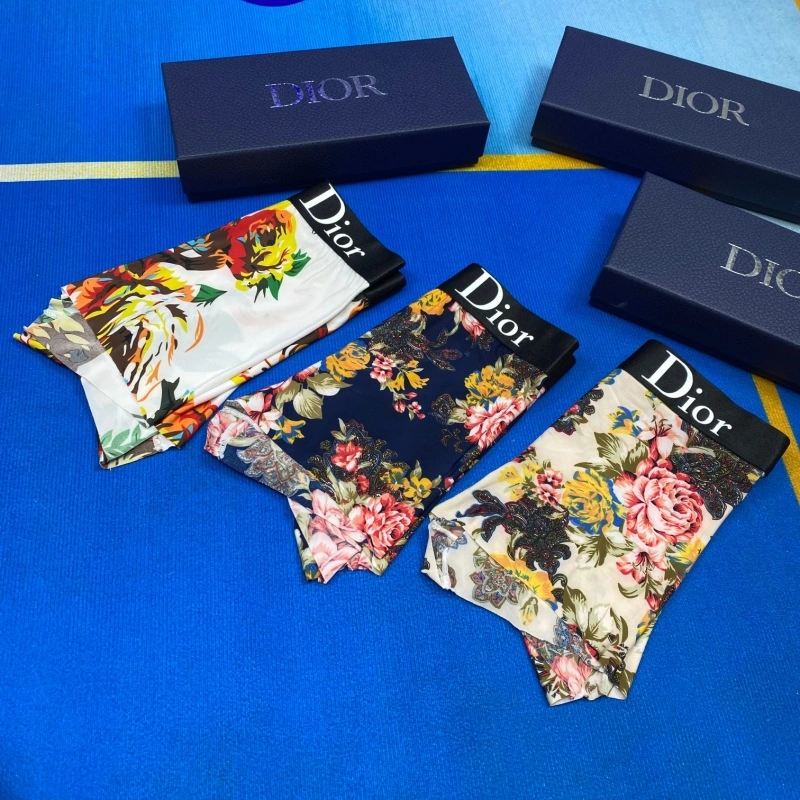 Christian Dior Underwear TravelReady 276485