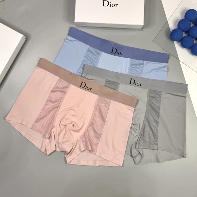Lightweight Christian Dior Underwear 276484
