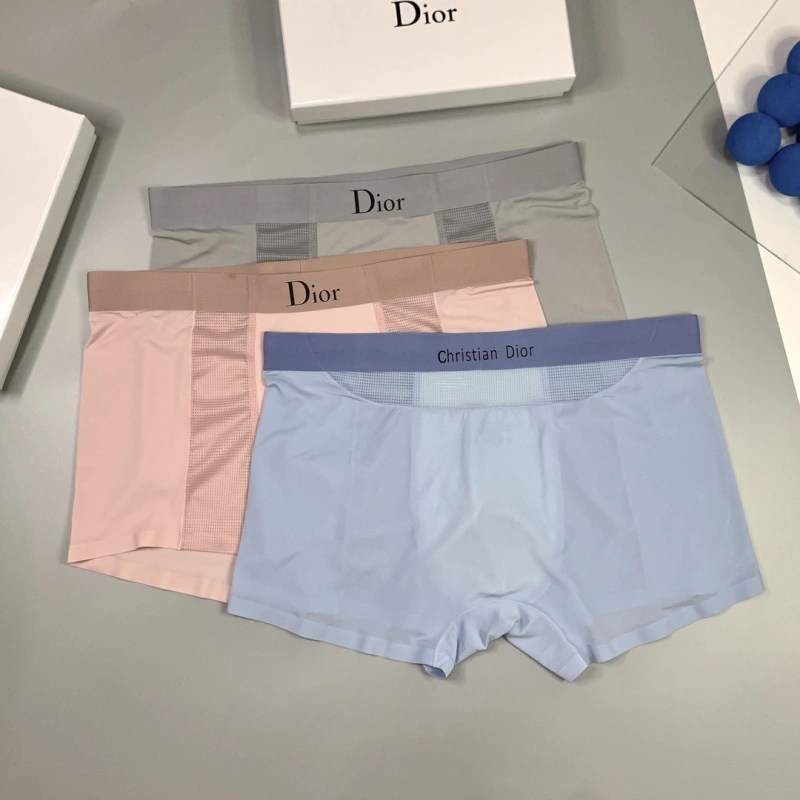 Lightweight Christian Dior Underwear 276484