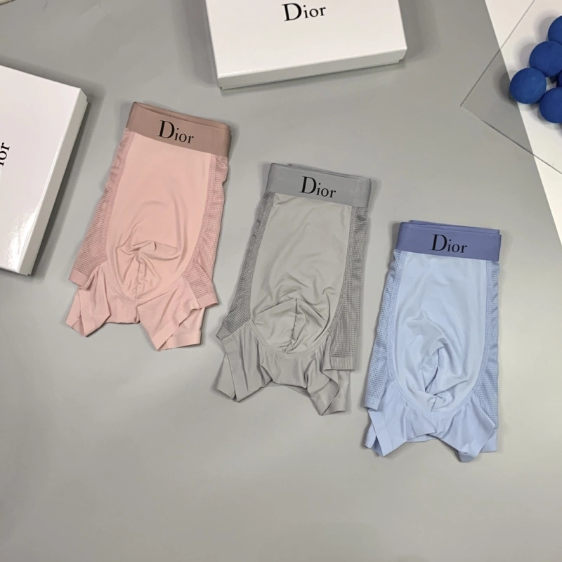 Lightweight Christian Dior Underwear 276484