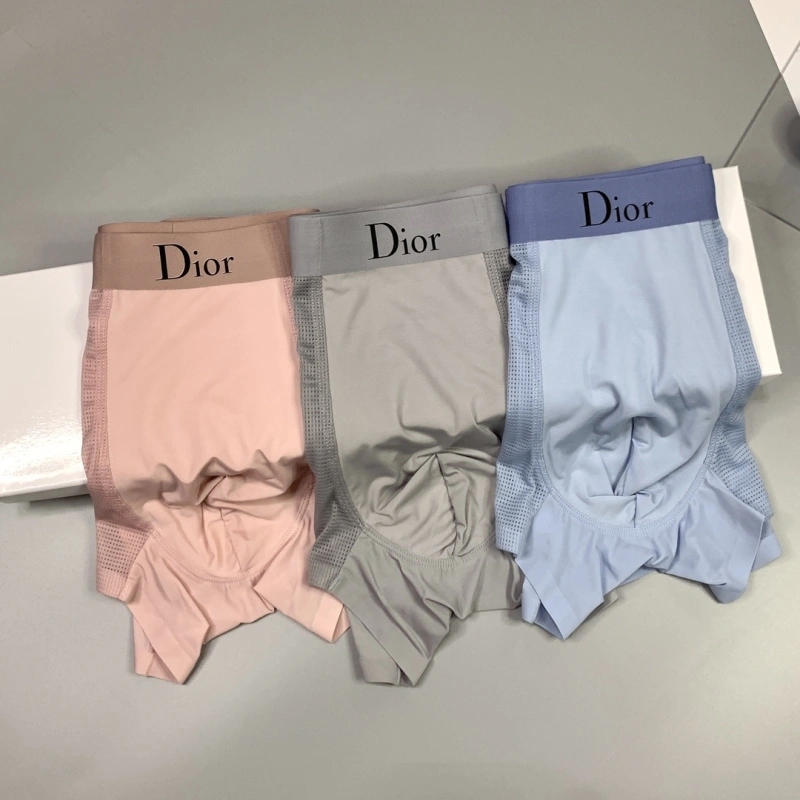 Lightweight Christian Dior Underwear 276484