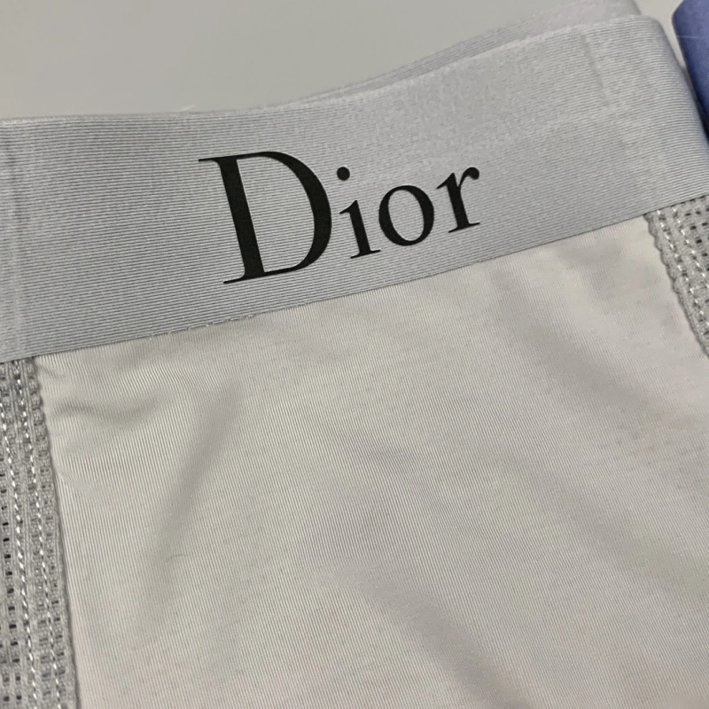 Lightweight Christian Dior Underwear 276484