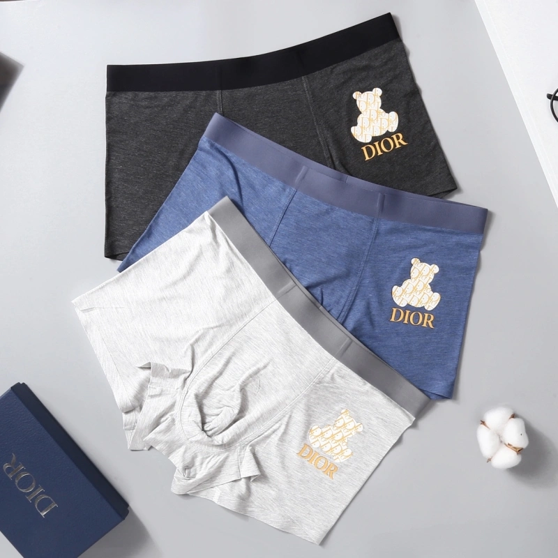 Unique Christian Dior Underwear 276483