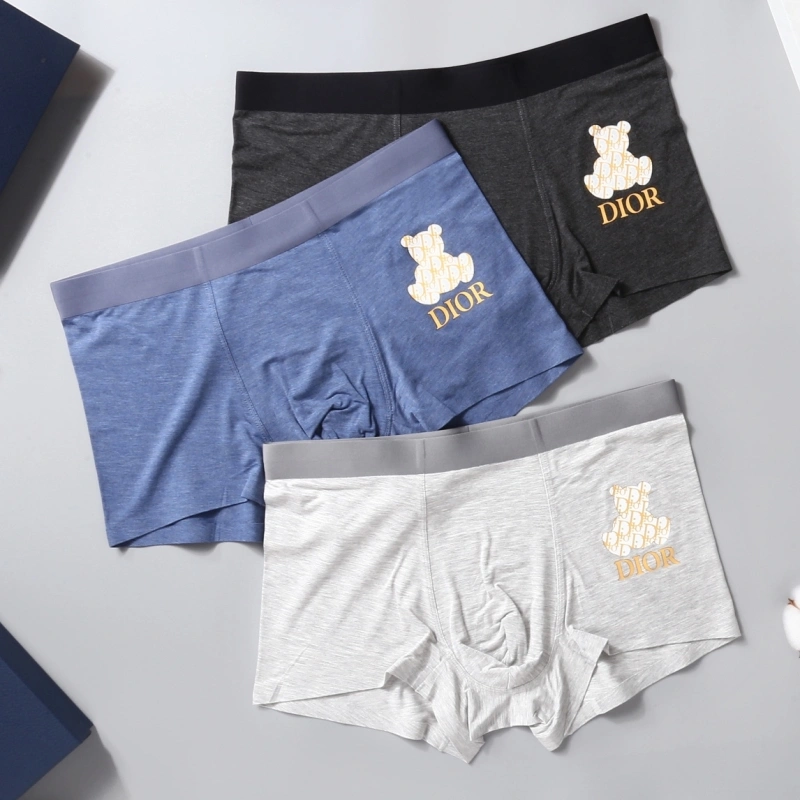 Unique Christian Dior Underwear 276483