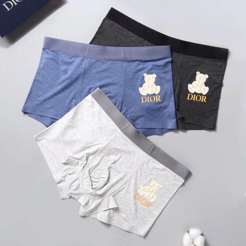 Unique Christian Dior Underwear 276483